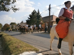 Szüreti felvonulás - 2016
